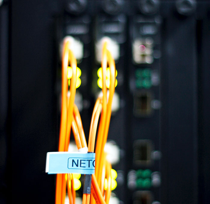 34 Fastest Things In The World That Are Really Quick