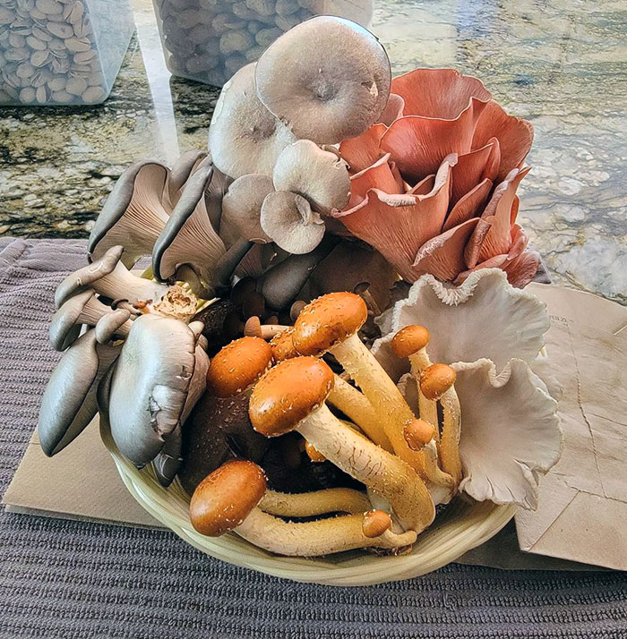 50 Hilarious Boyfriends And Husbands Who Never Fail To Make Their Partners Laugh (New Pics) 50 Hilarious Boyfriends And Husbands Who Never Fail To Make Their Partners Laugh (New Pics)