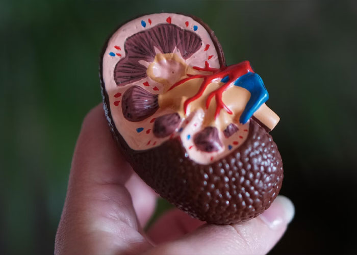 &ldquo;Could Be Chipotle. Could Be Cancer&rdquo;: 30 Medics Share Seemingly Harmless Signs That Shouldn&rsquo;t Be Overlooked