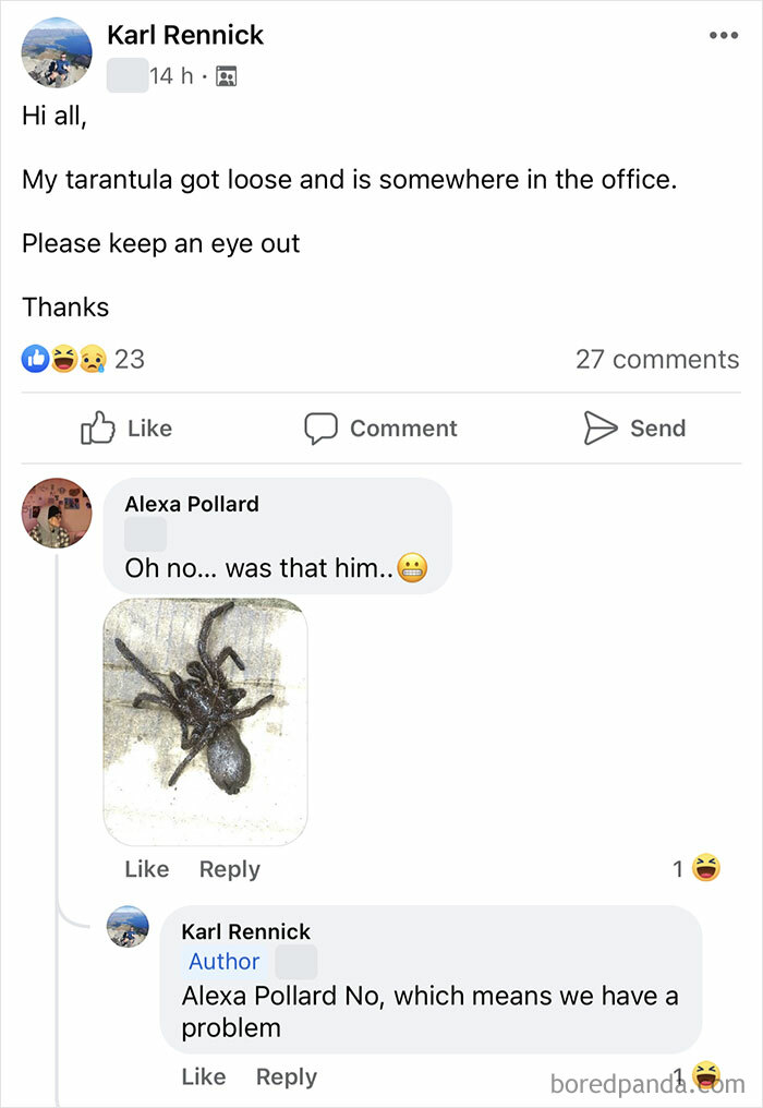 200,000 People On Facebook Decided To Roleplay A Dysfunctional Office Together, And It’s An Absolute Madhouse (30 Pics) 200,000 People On Facebook Decided To Roleplay A Dysfunctional Office Together, And It’s An Absolute Madhouse (30 Pics)