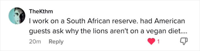 50 Hilarious Times People Caught “American Tourists In The Wild” And Shared Their Experiences 50 Hilarious Times People Caught “American Tourists In The Wild” And Shared Their Experiences