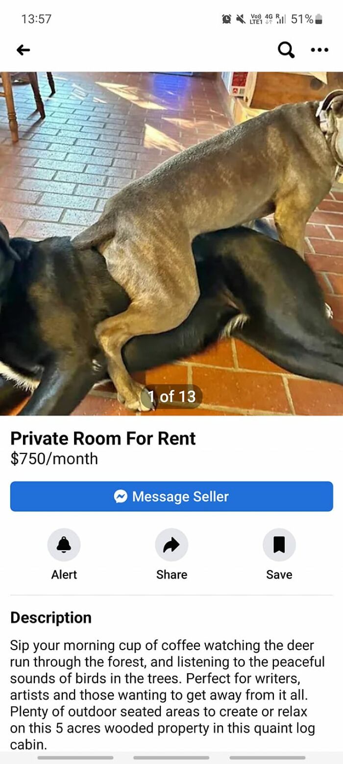 30 People That Didn’t Bother Making Proper Ads, So They Ended Up With Absolute Comedic Masterpieces Instead 30 People That Didn’t Bother Making Proper Ads, So They Ended Up With Absolute Comedic Masterpieces Instead