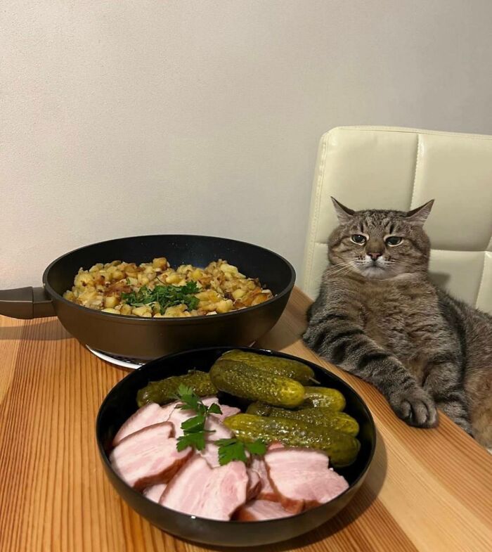 ‘Squatting Slavs In Tracksuits’: 35 Hilarious Pics And Memes That Hit Too Close To Home If You Grew Up In Eastern Europe ‘Squatting Slavs In Tracksuits’: 35 Hilarious Pics And Memes That Hit Too Close To Home If You Grew Up In Eastern Europe