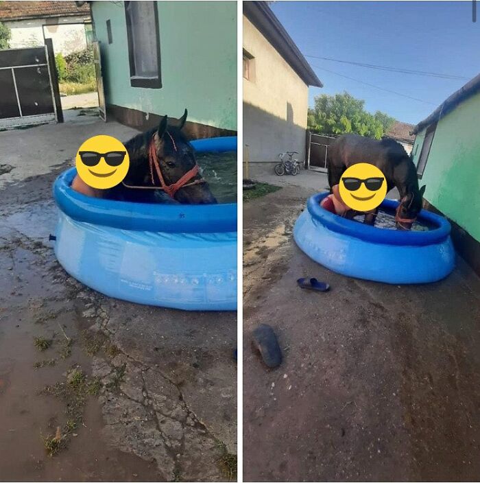 ‘Squatting Slavs In Tracksuits’: 35 Hilarious Pics And Memes That Hit Too Close To Home If You Grew Up In Eastern Europe ‘Squatting Slavs In Tracksuits’: 35 Hilarious Pics And Memes That Hit Too Close To Home If You Grew Up In Eastern Europe