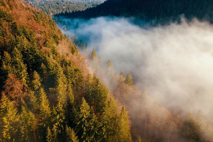 My 28 Photographs Of Breathtaking Slovak Nature My 28 Photographs Of Breathtaking Slovak Nature