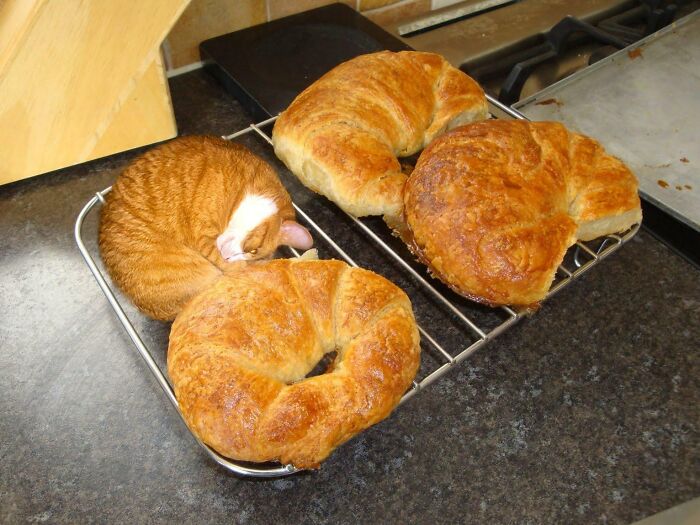 50 Delicious-Looking ‘Foods’ You Should Never Ever Eat (New Pics) 50 Delicious-Looking ‘Foods’ You Should Never Ever Eat (New Pics)