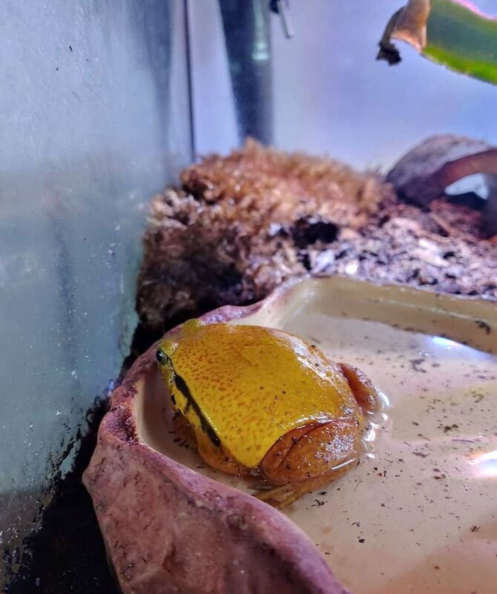 50 Delicious-Looking ‘Foods’ You Should Never Ever Eat (New Pics) 50 Delicious-Looking ‘Foods’ You Should Never Ever Eat (New Pics)