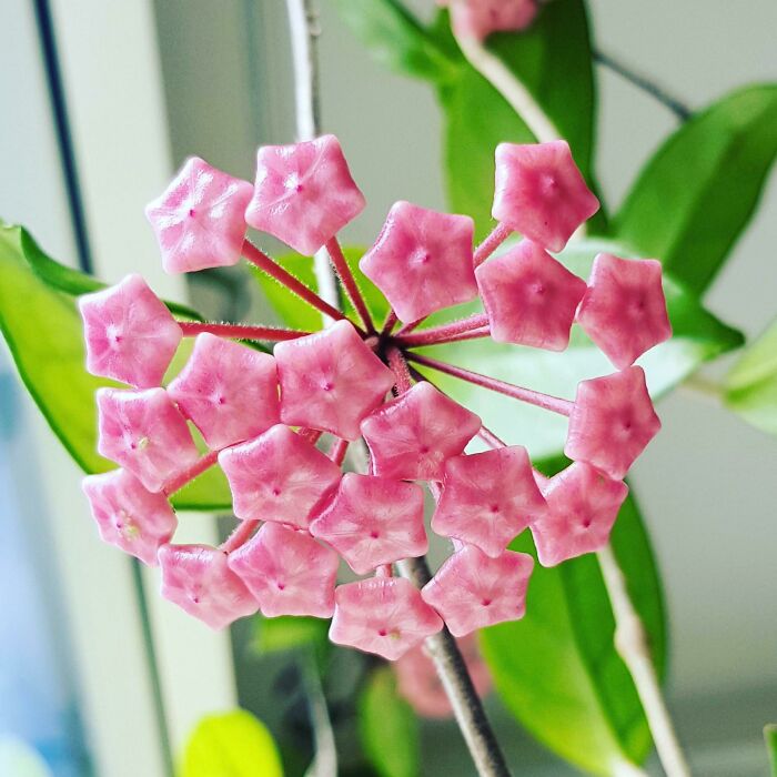 50 Delicious-Looking ‘Foods’ You Should Never Ever Eat (New Pics) 50 Delicious-Looking ‘Foods’ You Should Never Ever Eat (New Pics)