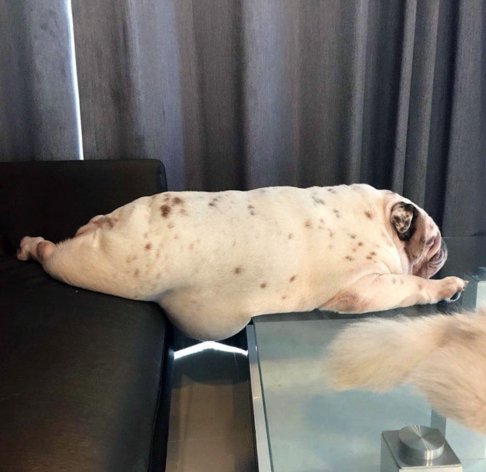 50 Delicious-Looking ‘Foods’ You Should Never Ever Eat (New Pics) 50 Delicious-Looking ‘Foods’ You Should Never Ever Eat (New Pics)