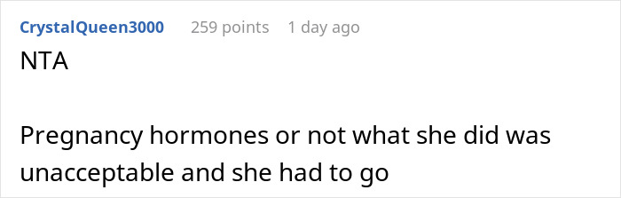 “[Am I The Jerk] For Yelling At My Brother&rsquo;s Pregnant Girlfriend And Kicking Them Both Out Of My House After She Threw Away My Food?”