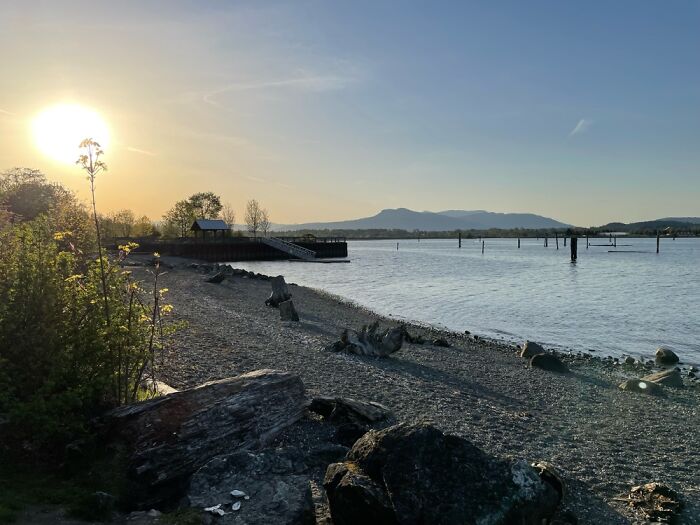 Hey Pandas, What Is Your Happy Place? (Closed)