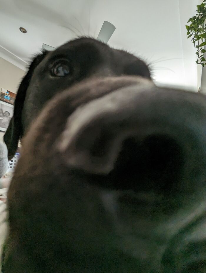 Hey Pandas, What Is Your Happy Place? (Closed)