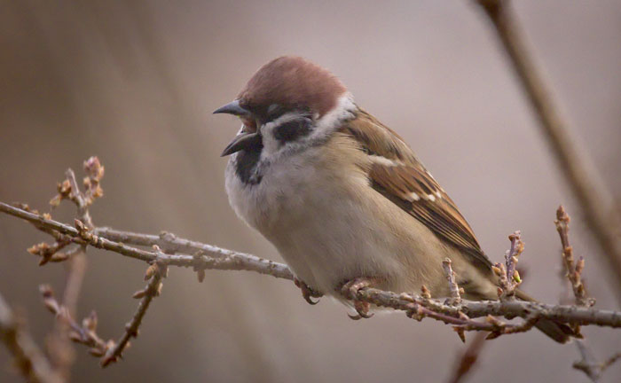 30 Things People Are Proud Of But They Could Be Considered A Weird Flex, Shared In This Online Group 30 Things People Are Proud Of But They Could Be Considered A Weird Flex, Shared In This Online Group