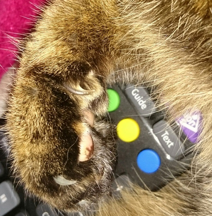 30 Things People Are Proud Of But They Could Be Considered A Weird Flex, Shared In This Online Group 30 Things People Are Proud Of But They Could Be Considered A Weird Flex, Shared In This Online Group