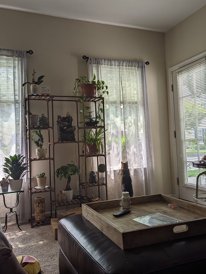 Hey Pandas, Post A Picture Of The Coolest Room In Your House (Closed)