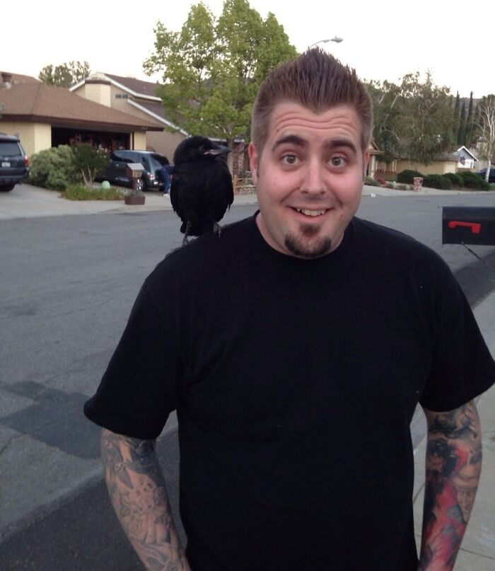 77 Ominously Cute Crow Pictures 77 Ominously Cute Crow Pictures