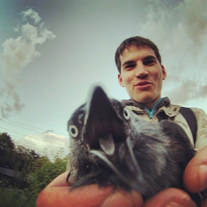 77 Ominously Cute Crow Pictures 77 Ominously Cute Crow Pictures