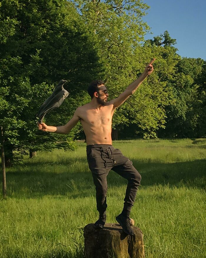 77 Ominously Cute Crow Pictures 77 Ominously Cute Crow Pictures