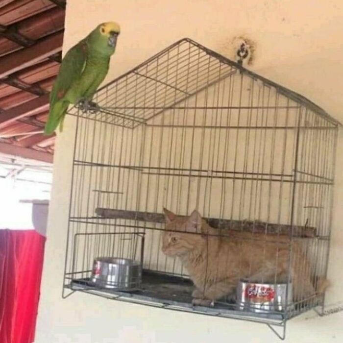 40 ‘Cursed Images’ Posted On This Account That Might Give You Goosebumps (New Pics) 40 ‘Cursed Images’ Posted On This Account That Might Give You Goosebumps (New Pics)