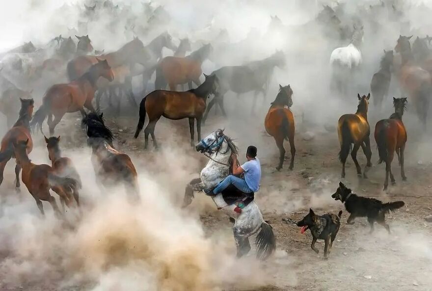 35 Selected Best Images Of Animals, As Shared By This Instagram Page 35 Selected Best Images Of Animals, As Shared By This Instagram Page