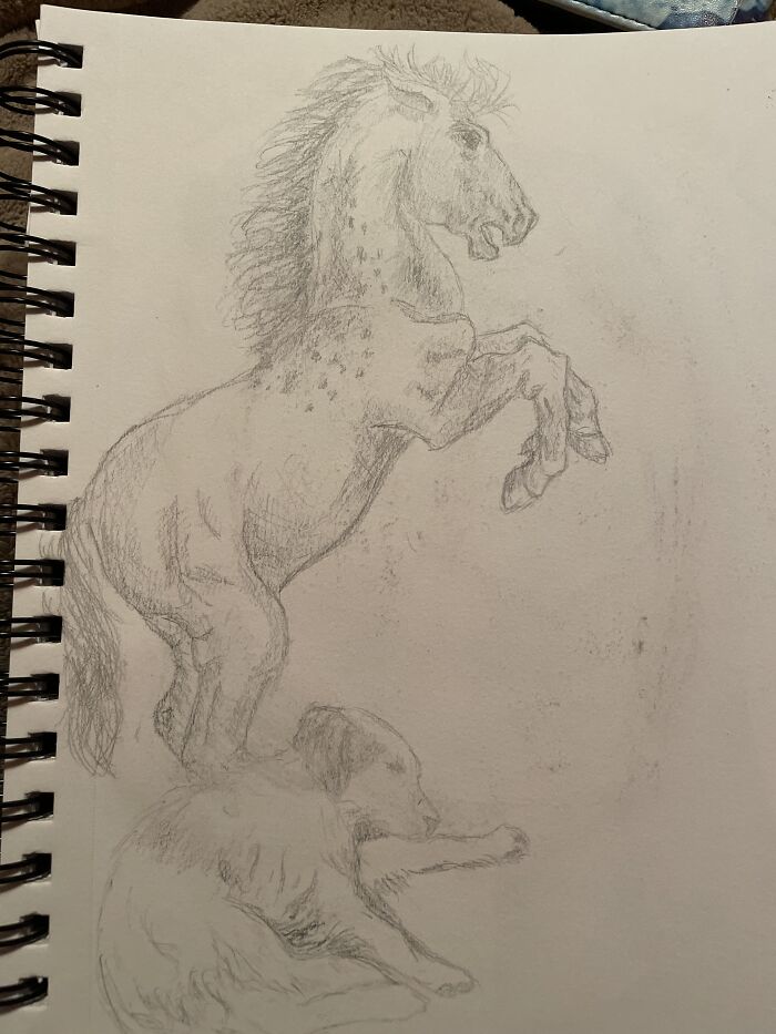 Hey Pandas, Draw A Horse And Post The Result (Closed) Hey Pandas, Draw A Horse And Post The Result (Closed)