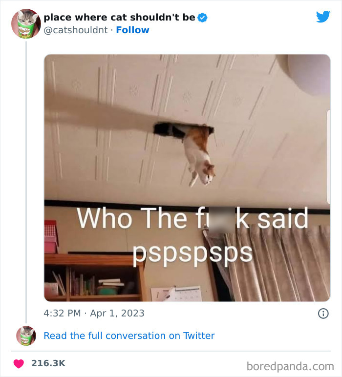 50 Hilarious Photos Of Cats Getting Into Places Where They Probably Shouldn’t Be (New Pics) 50 Hilarious Photos Of Cats Getting Into Places Where They Probably Shouldn’t Be (New Pics)