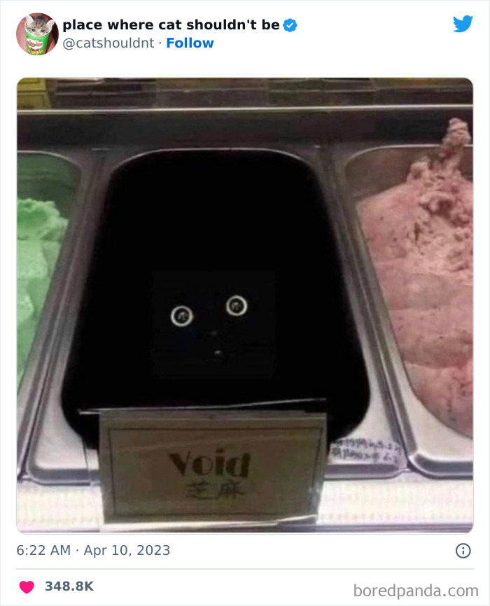 50 Hilarious Photos Of Cats Getting Into Places Where They Probably Shouldn’t Be (New Pics) 50 Hilarious Photos Of Cats Getting Into Places Where They Probably Shouldn’t Be (New Pics)