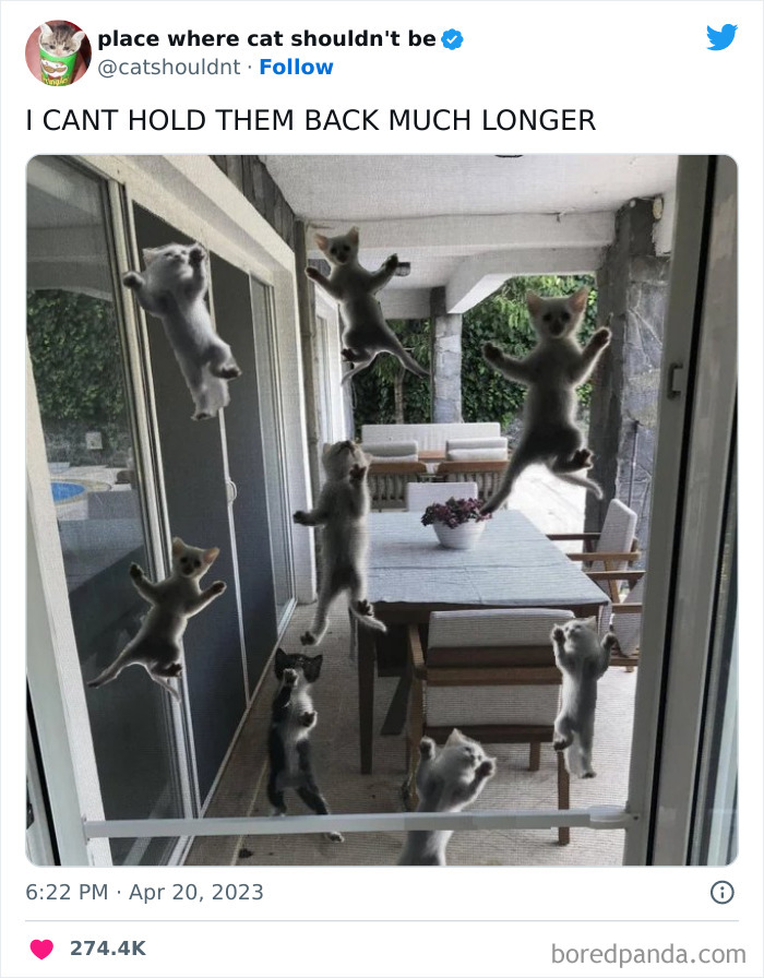 50 Hilarious Photos Of Cats Getting Into Places Where They Probably Shouldn’t Be (New Pics) 50 Hilarious Photos Of Cats Getting Into Places Where They Probably Shouldn’t Be (New Pics)