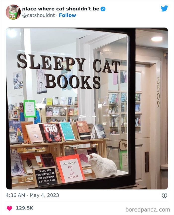 50 Hilarious Photos Of Cats Getting Into Places Where They Probably Shouldn’t Be (New Pics) 50 Hilarious Photos Of Cats Getting Into Places Where They Probably Shouldn’t Be (New Pics)