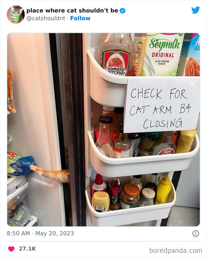 50 Hilarious Photos Of Cats Getting Into Places Where They Probably Shouldn’t Be (New Pics) 50 Hilarious Photos Of Cats Getting Into Places Where They Probably Shouldn’t Be (New Pics)