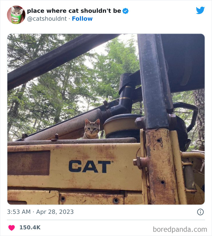 50 Hilarious Photos Of Cats Getting Into Places Where They Probably Shouldn’t Be (New Pics) 50 Hilarious Photos Of Cats Getting Into Places Where They Probably Shouldn’t Be (New Pics)