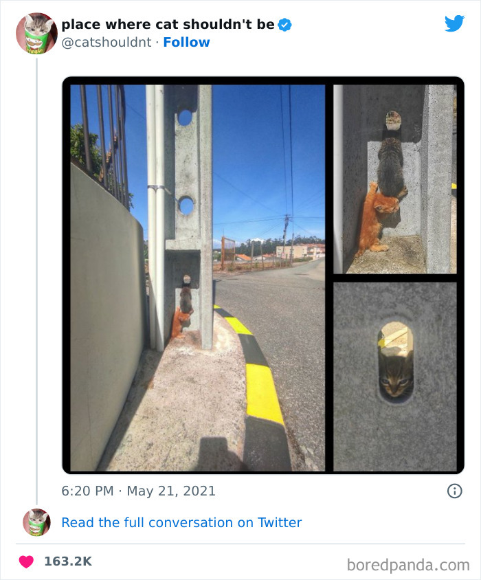 50 Hilarious Photos Of Cats Getting Into Places Where They Probably Shouldn’t Be (New Pics) 50 Hilarious Photos Of Cats Getting Into Places Where They Probably Shouldn’t Be (New Pics)