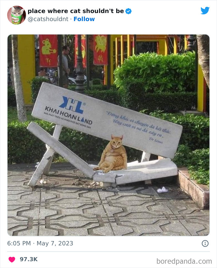 50 Hilarious Photos Of Cats Getting Into Places Where They Probably Shouldn’t Be (New Pics) 50 Hilarious Photos Of Cats Getting Into Places Where They Probably Shouldn’t Be (New Pics)