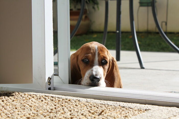 30 Hilarious Stories From Vets About Pets And Their Sometimes Clueless Owners 30 Hilarious Stories From Vets About Pets And Their Sometimes Clueless Owners