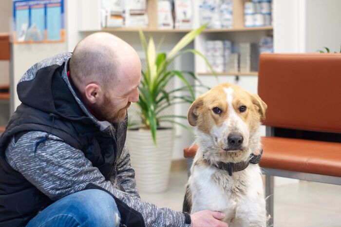 Marusya Was Hit By A Train, But She Survived And Is Currently In Search For A New Home Marusya Was Hit By A Train, But She Survived And Is Currently In Search For A New Home