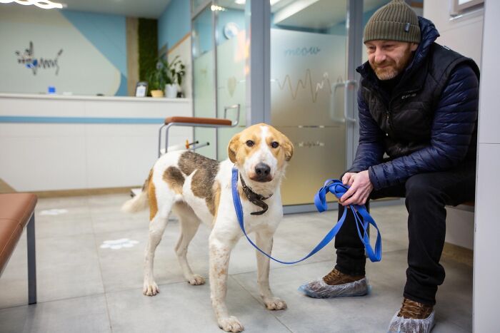 Marusya Was Hit By A Train, But She Survived And Is Currently In Search For A New Home Marusya Was Hit By A Train, But She Survived And Is Currently In Search For A New Home