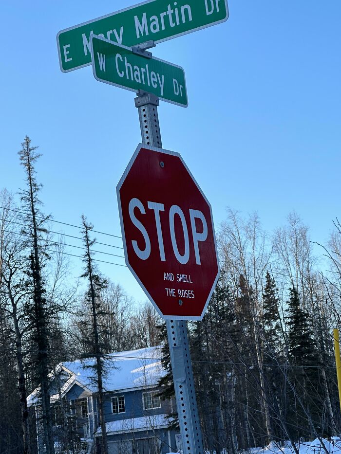 50 Of The Most Hilarious Examples Of Mild Vandalism That Should Be Excused From Any Consequences (New Pics) 50 Of The Most Hilarious Examples Of Mild Vandalism That Should Be Excused From Any Consequences (New Pics)