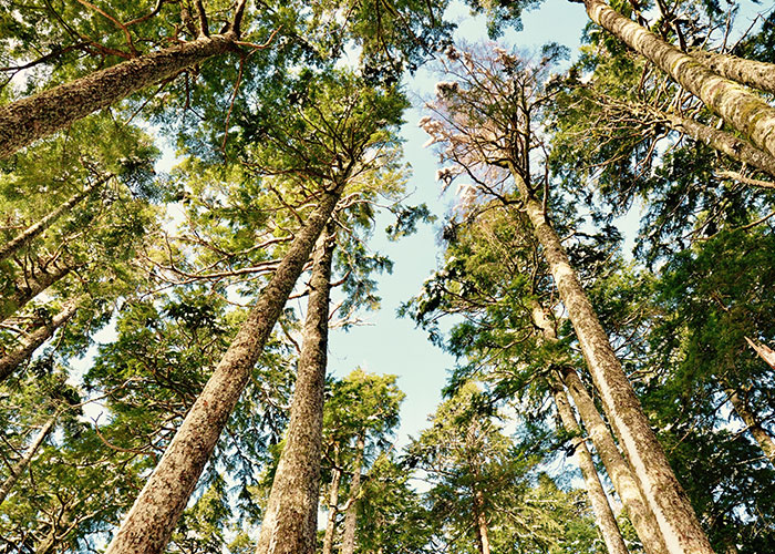 50 Chilling Stories From People Who Have Seen Things They Couldn’t Explain 50 Chilling Stories From People Who Have Seen Things They Couldn’t Explain