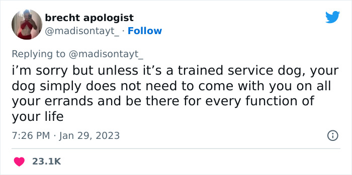&ldquo;I&rsquo;m Sorry, But Unless It&rsquo;s A Trained Service Dog, Your Dog Simply Does Not Need To Come With You On All Your Errands&rdquo;: Woman&rsquo;s Thread About Dogs Goes Viral On Twitter