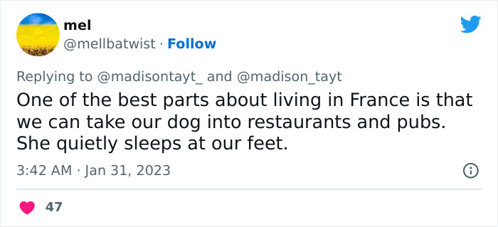 &ldquo;I&rsquo;m Sorry, But Unless It&rsquo;s A Trained Service Dog, Your Dog Simply Does Not Need To Come With You On All Your Errands&rdquo;: Woman&rsquo;s Thread About Dogs Goes Viral On Twitter