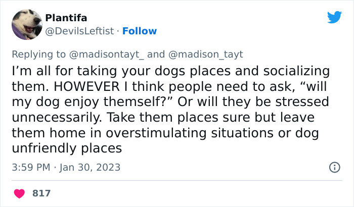 &ldquo;I&rsquo;m Sorry, But Unless It&rsquo;s A Trained Service Dog, Your Dog Simply Does Not Need To Come With You On All Your Errands&rdquo;: Woman&rsquo;s Thread About Dogs Goes Viral On Twitter