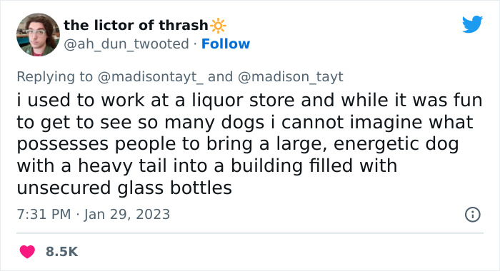 &ldquo;I&rsquo;m Sorry, But Unless It&rsquo;s A Trained Service Dog, Your Dog Simply Does Not Need To Come With You On All Your Errands&rdquo;: Woman&rsquo;s Thread About Dogs Goes Viral On Twitter