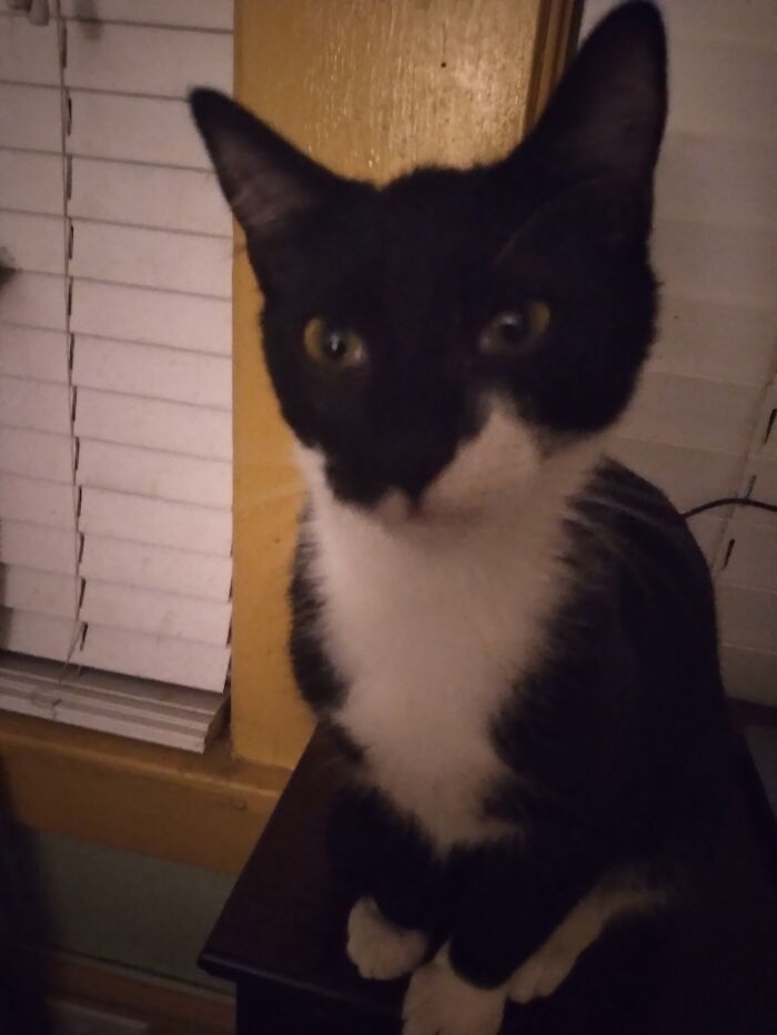 Hey Pandas, What’s Your Favorite Thing In Your Room? (Closed) Hey Pandas, What’s Your Favorite Thing In Your Room? (Closed)