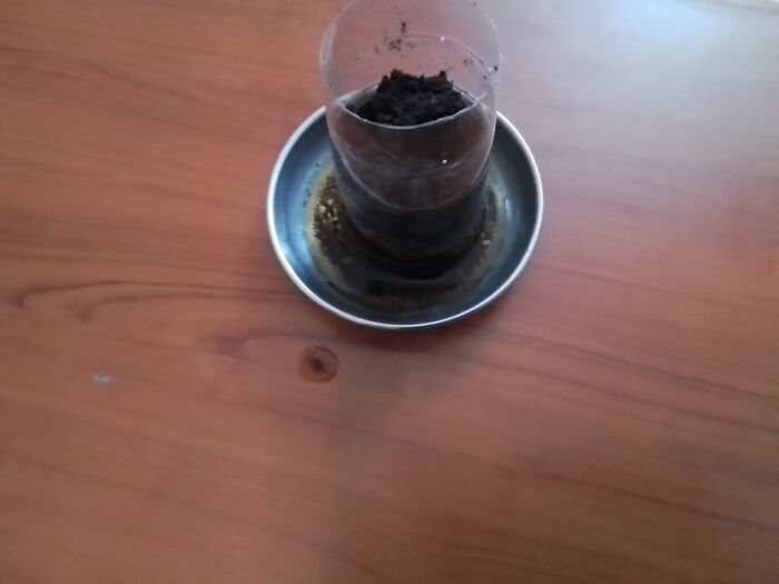 Hey Pandas, What’s Your Favorite Thing In Your Room? (Closed) Hey Pandas, What’s Your Favorite Thing In Your Room? (Closed)