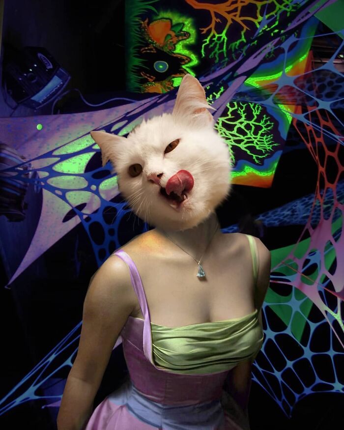 This Artist Creates Peculiar Collages Featuring Cat Photos, And Here Are His 30 Best Works This Artist Creates Peculiar Collages Featuring Cat Photos, And Here Are His 30 Best Works