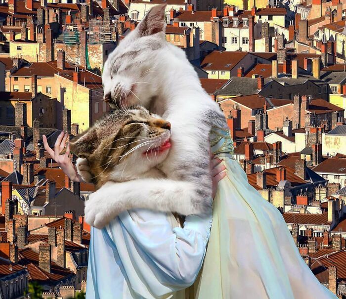 This Artist Creates Peculiar Collages Featuring Cat Photos, And Here Are His 30 Best Works This Artist Creates Peculiar Collages Featuring Cat Photos, And Here Are His 30 Best Works