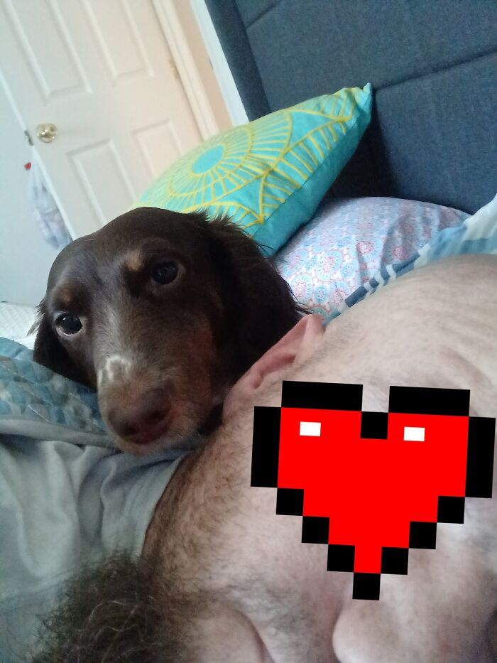 Hey Pandas, Post The Funniest Selfie Of One Of Your Pets Hey Pandas, Post The Funniest Selfie Of One Of Your Pets