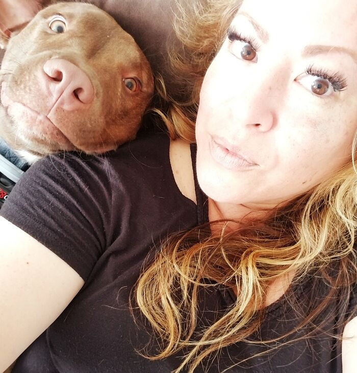 Hey Pandas, Post The Funniest Selfie Of One Of Your Pets Hey Pandas, Post The Funniest Selfie Of One Of Your Pets