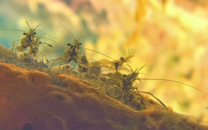 30 Facts That Sound Bizarre But Are Real, Shared By Folks In This Online Community 30 Facts That Sound Bizarre But Are Real, Shared By Folks In This Online Community