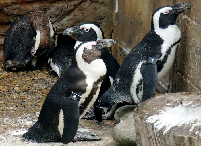 30 Facts That Sound Bizarre But Are Real, Shared By Folks In This Online Community 30 Facts That Sound Bizarre But Are Real, Shared By Folks In This Online Community